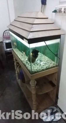 Aquarium full set